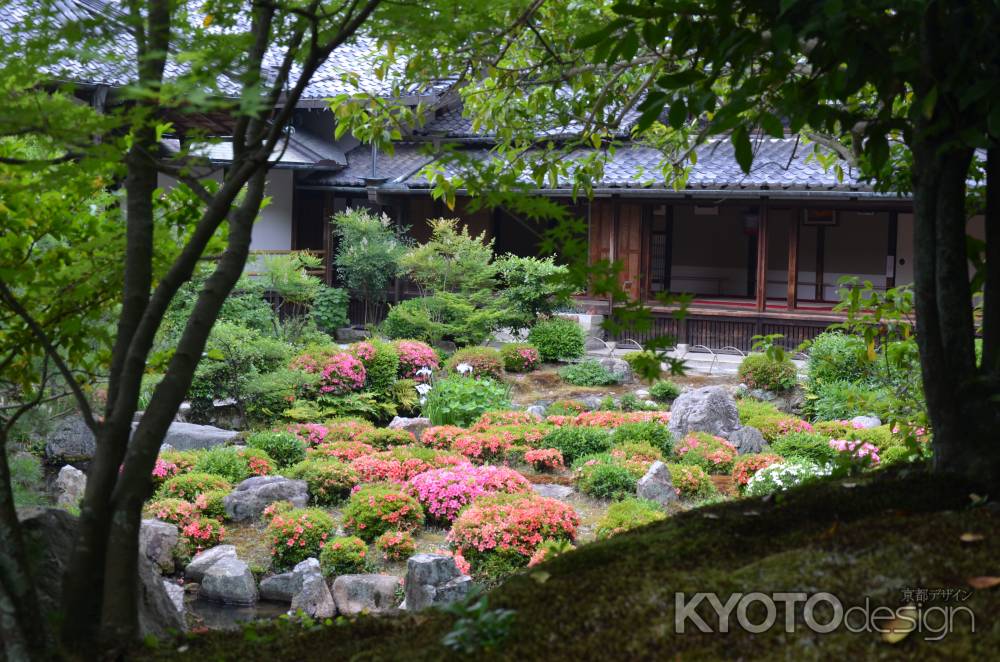 サツキ咲く等持院