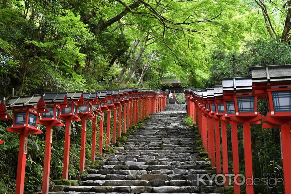 新緑の参道