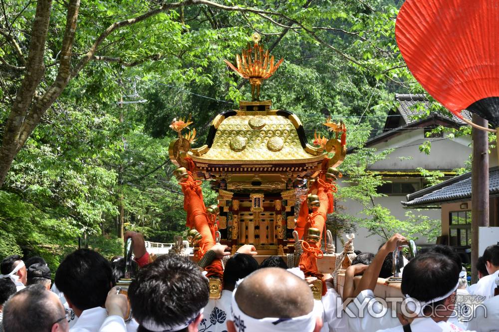 神輿　新緑の街を行く