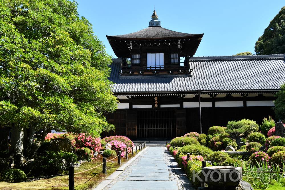 東福寺　開山堂の皐月1