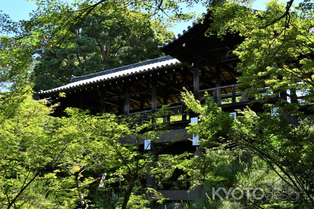 青紅葉に囲まれた通天橋