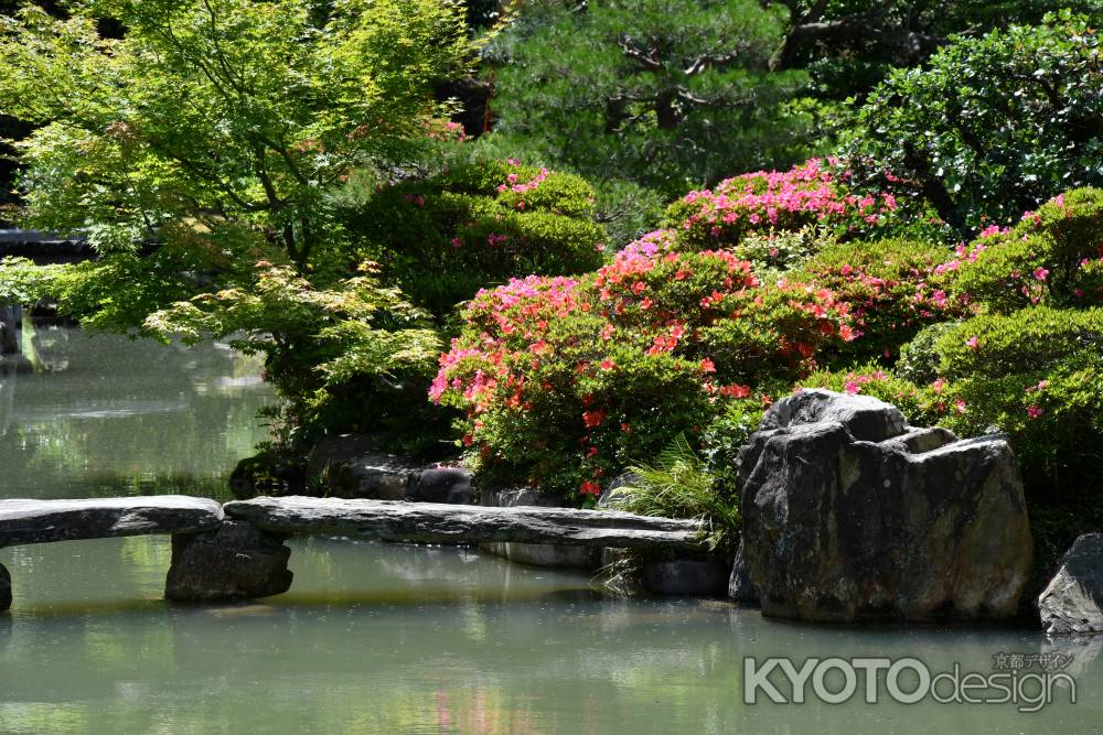 皐月咲く名勝庭園