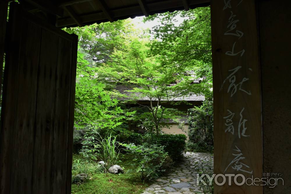 厭離庵山門からの青紅葉