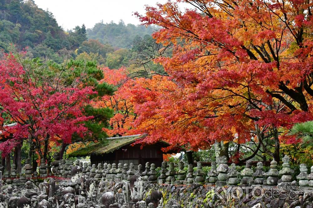 仏も見入る紅葉