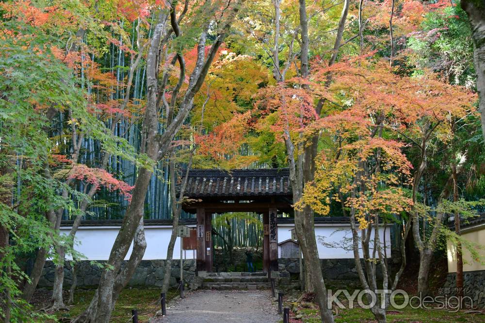 竹の寺山門の紅葉