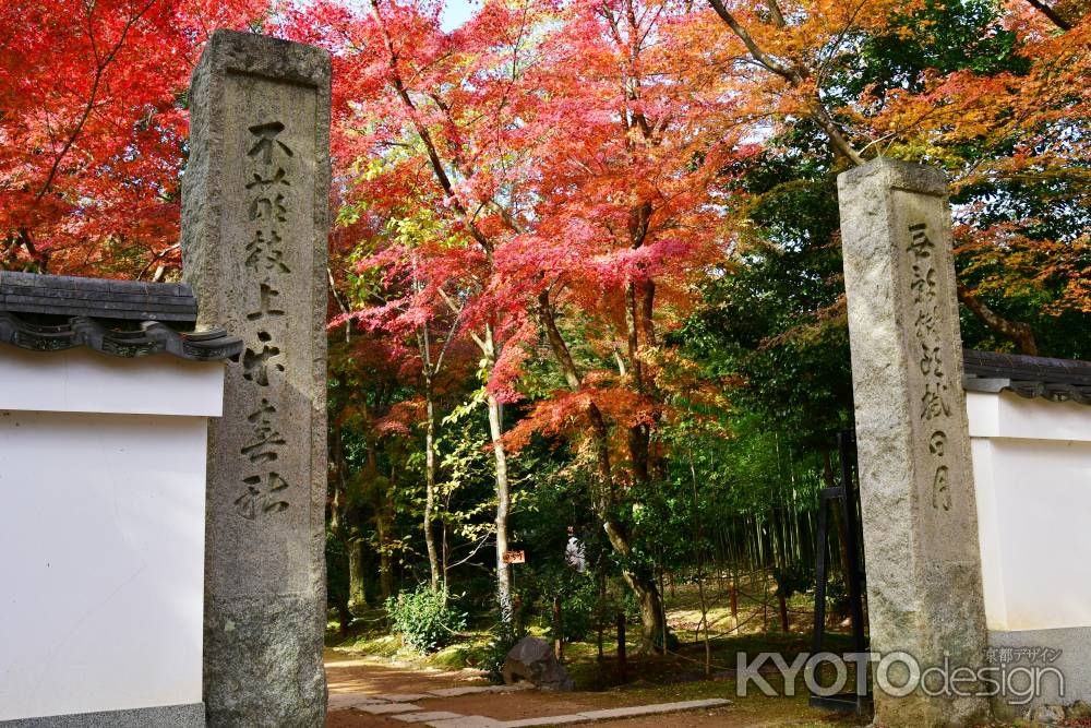 紅葉の山門