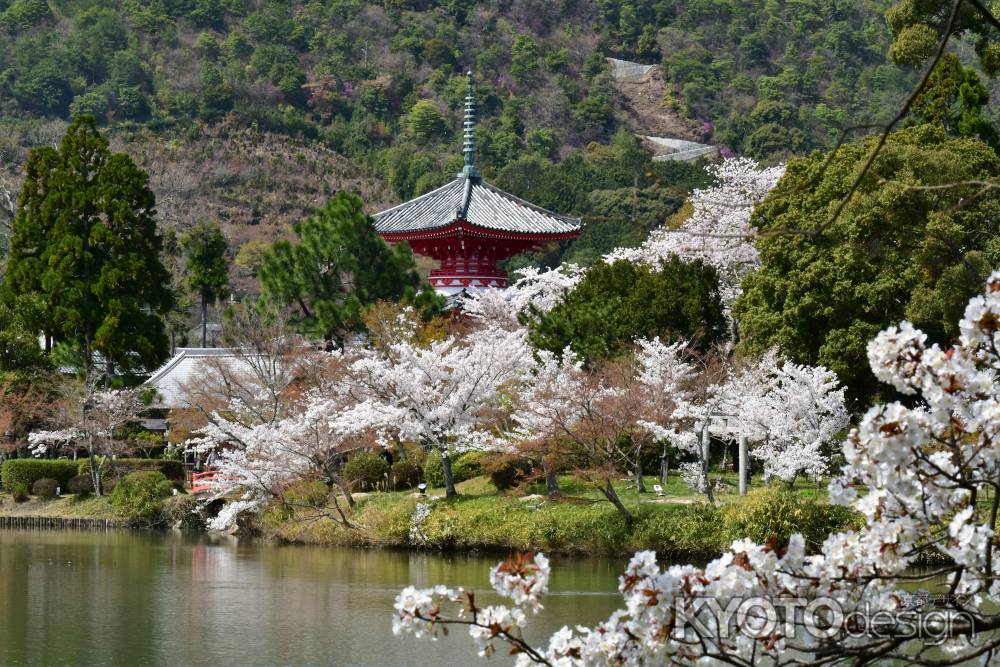 桜の時期の心経宝塔