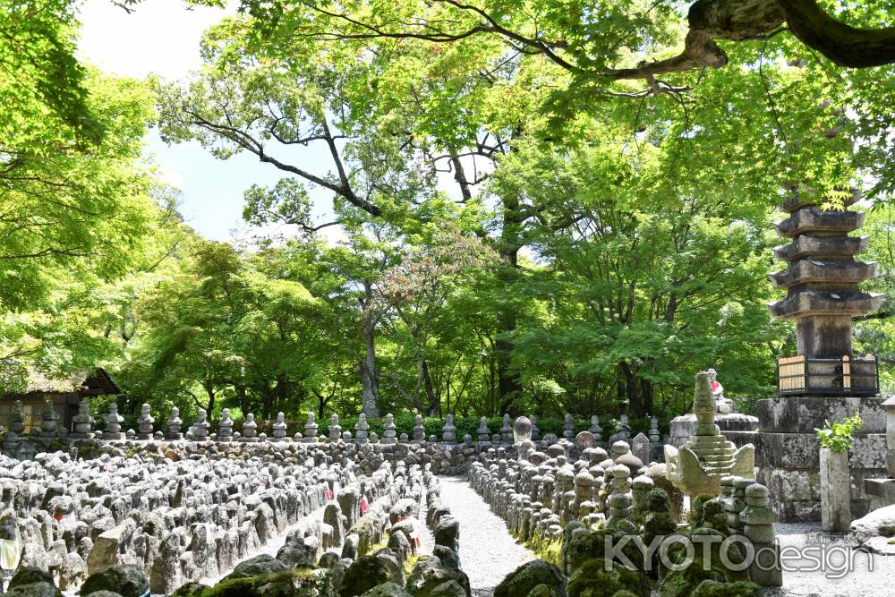 あだし野念仏寺の新緑