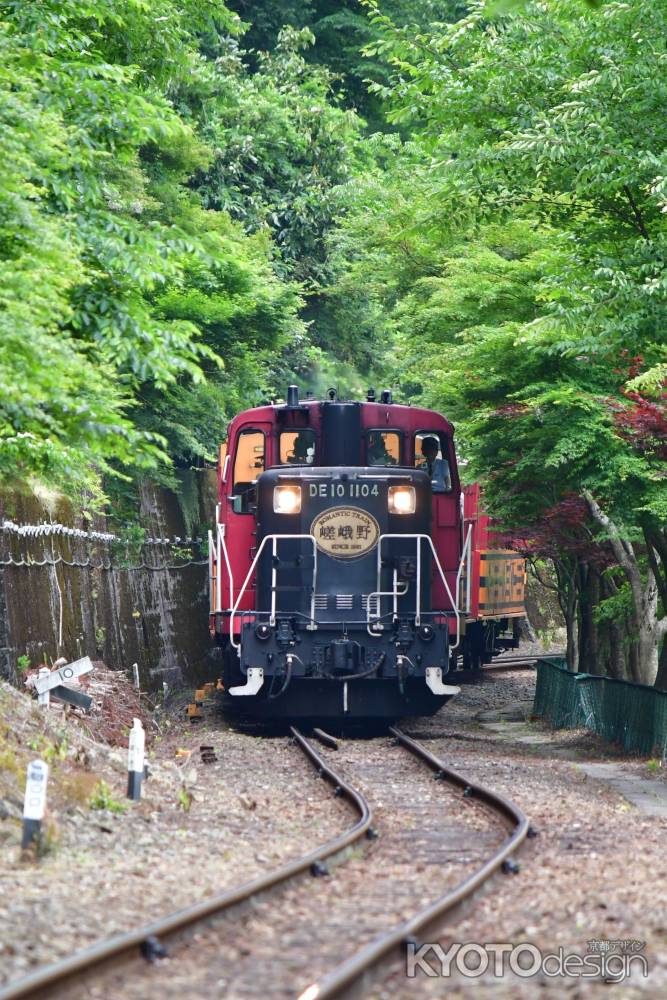 新緑の中を走るトロッコ電車