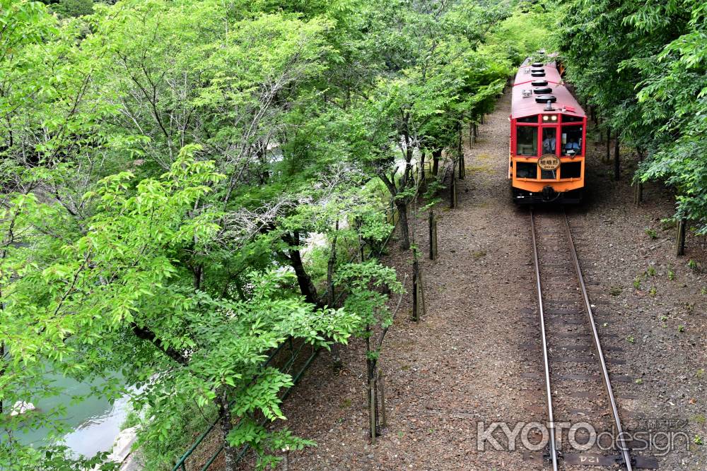 新緑の保津川沿を走るトロッコ電車