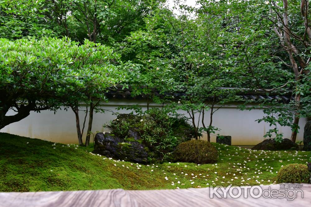 「沙羅の花を愛でる会」