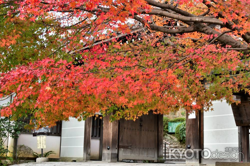 紅葉に覆われた山門