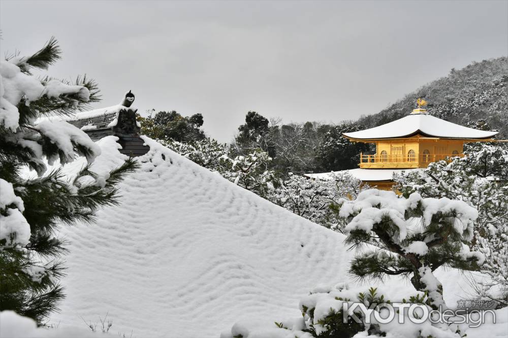 雪の鹿苑寺