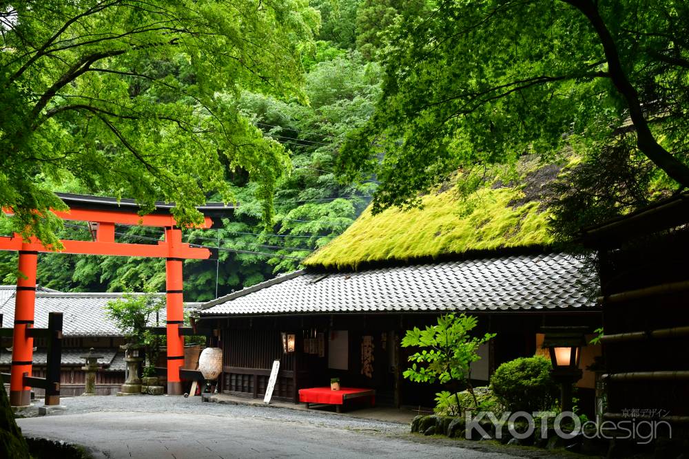 初夏の鳥居本