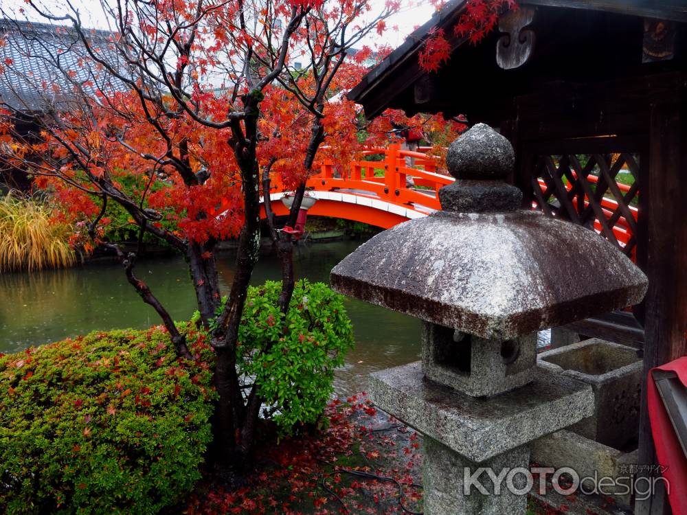 雨と紅葉の法成橋