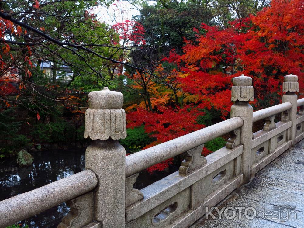 円通橋と紅葉