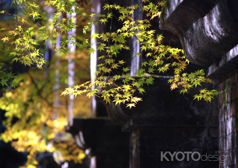 疏水と紅葉