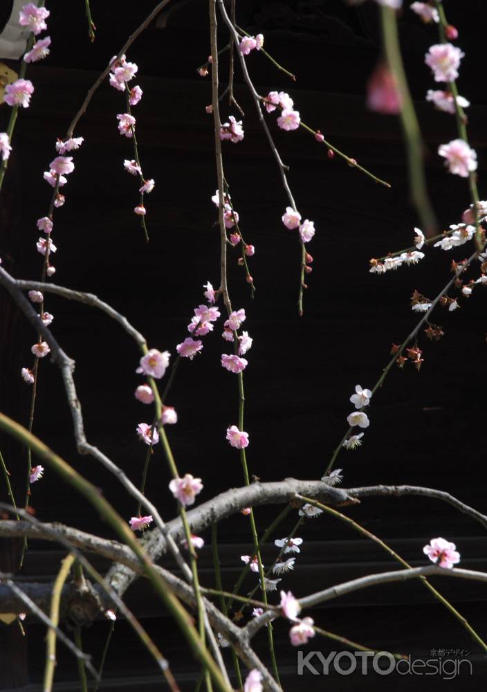 思いおこせよ梅の花