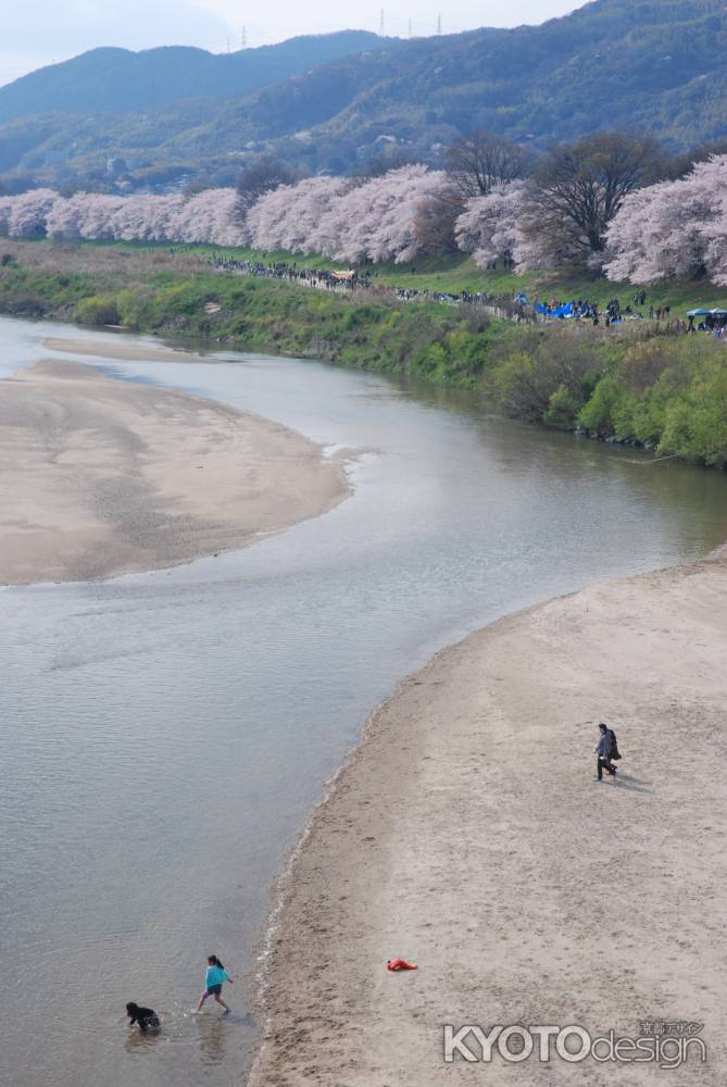 水ぬるむ