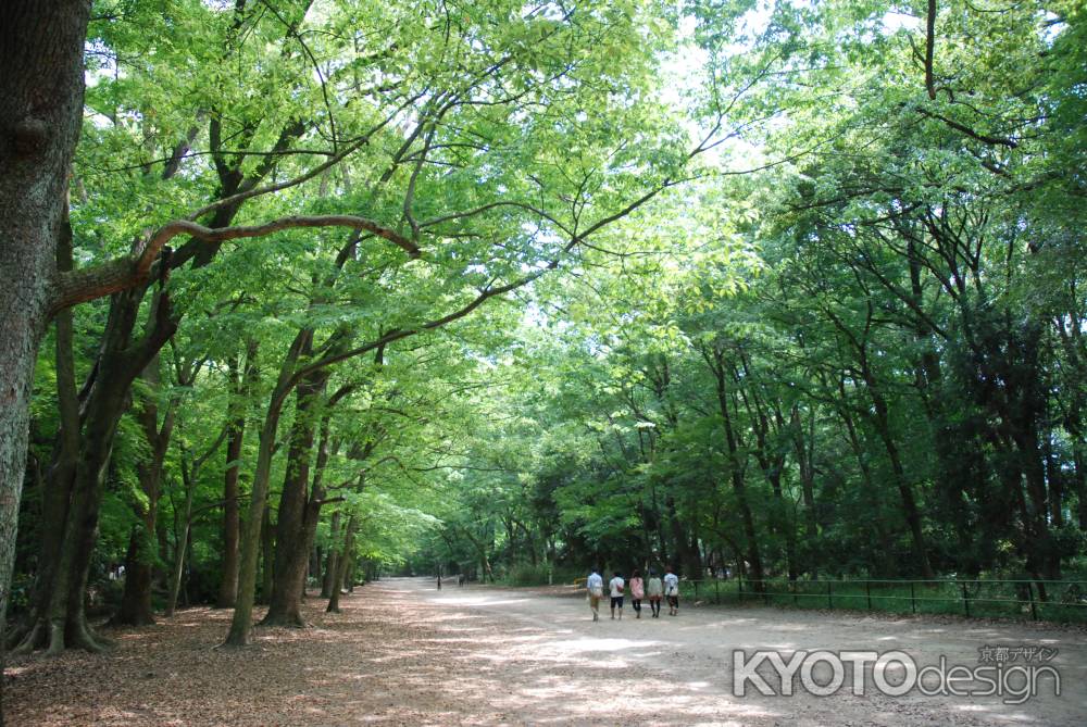 心霊の通い路