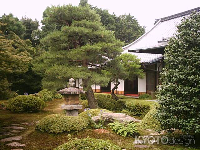 雲龍院の庭園