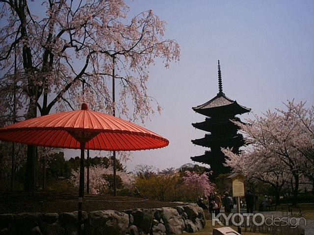 東寺　春の五重塔