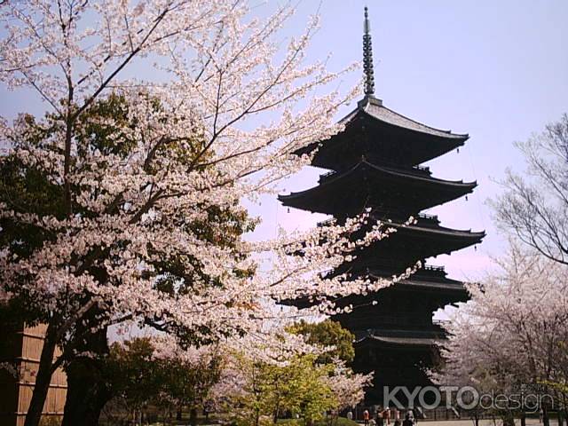 春の東寺