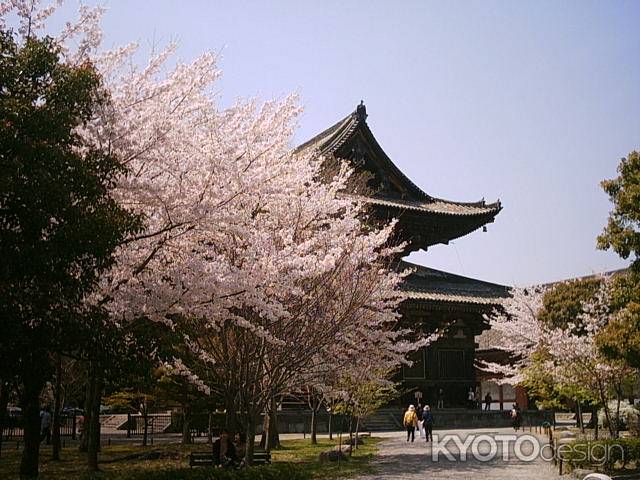 東寺　春の金堂