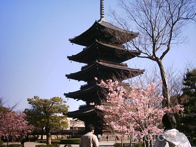 春の東寺　五重塔