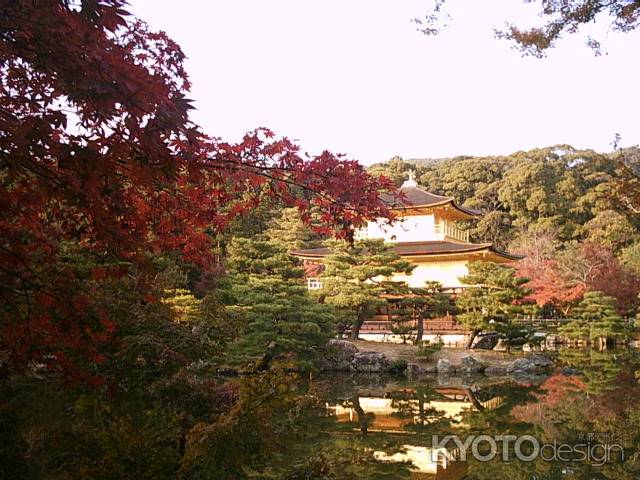 紅葉と金閣