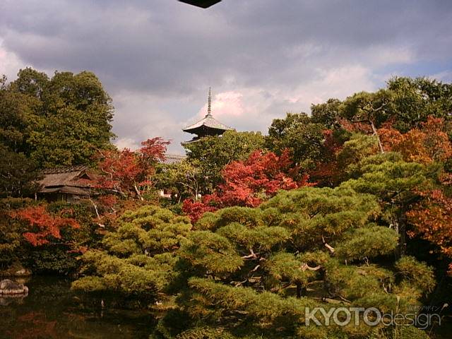 仁和寺宸殿からの秋の風景