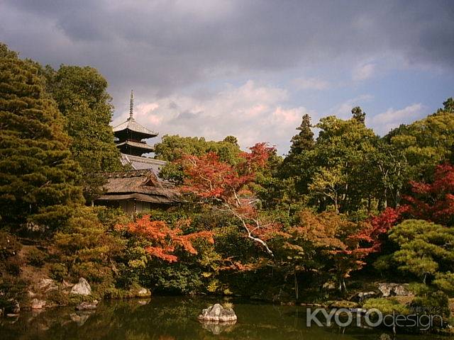 仁和寺　紅葉の北庭