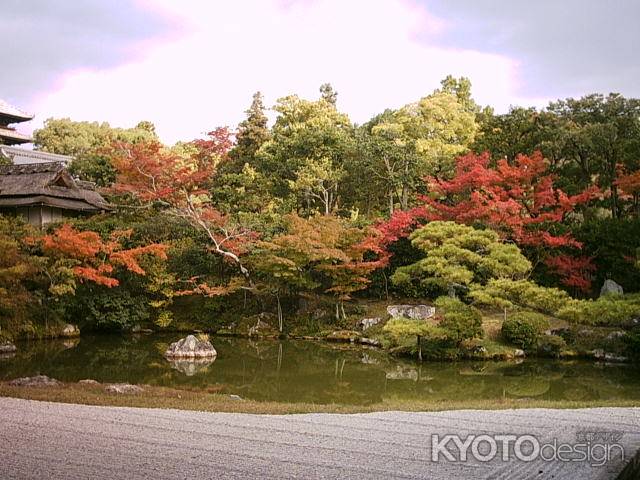 仁和寺　秋の北庭