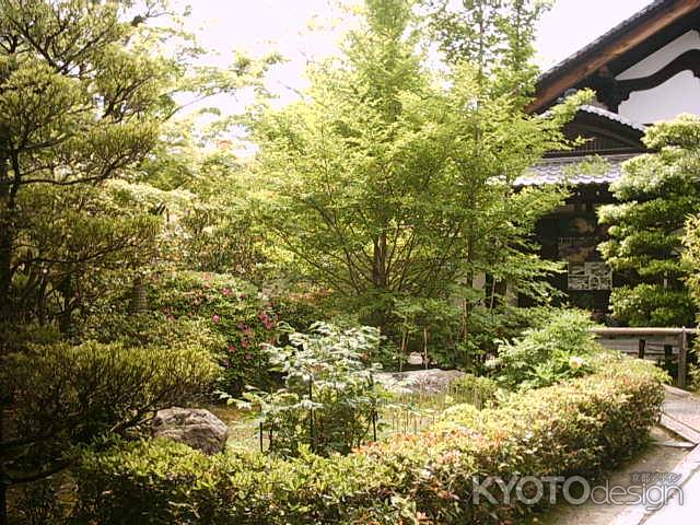 退蔵院　大玄関前の庭園