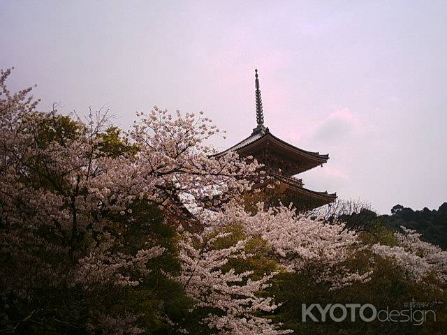 桜と五重塔