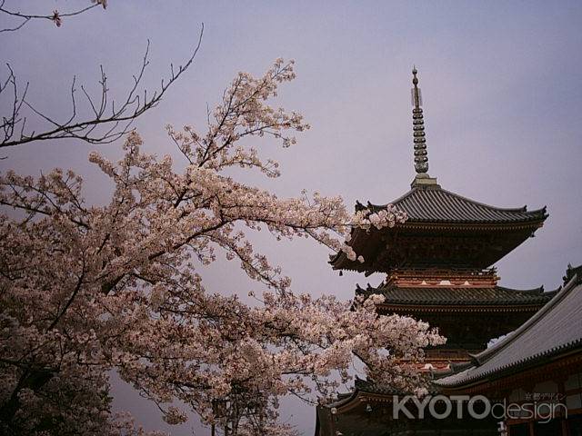 桜と五重塔