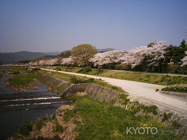 橋の上から見た鴨川