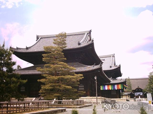 妙心寺（仏殿、法堂、大方丈）