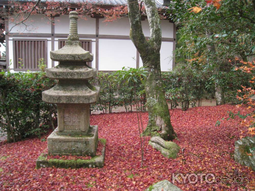 霊雲院の落葉