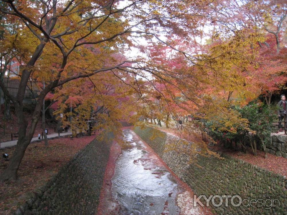 北野天満宮　御土居