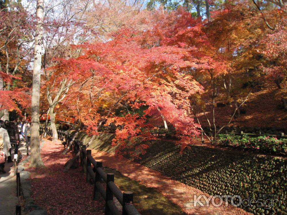 紅葉の御土居