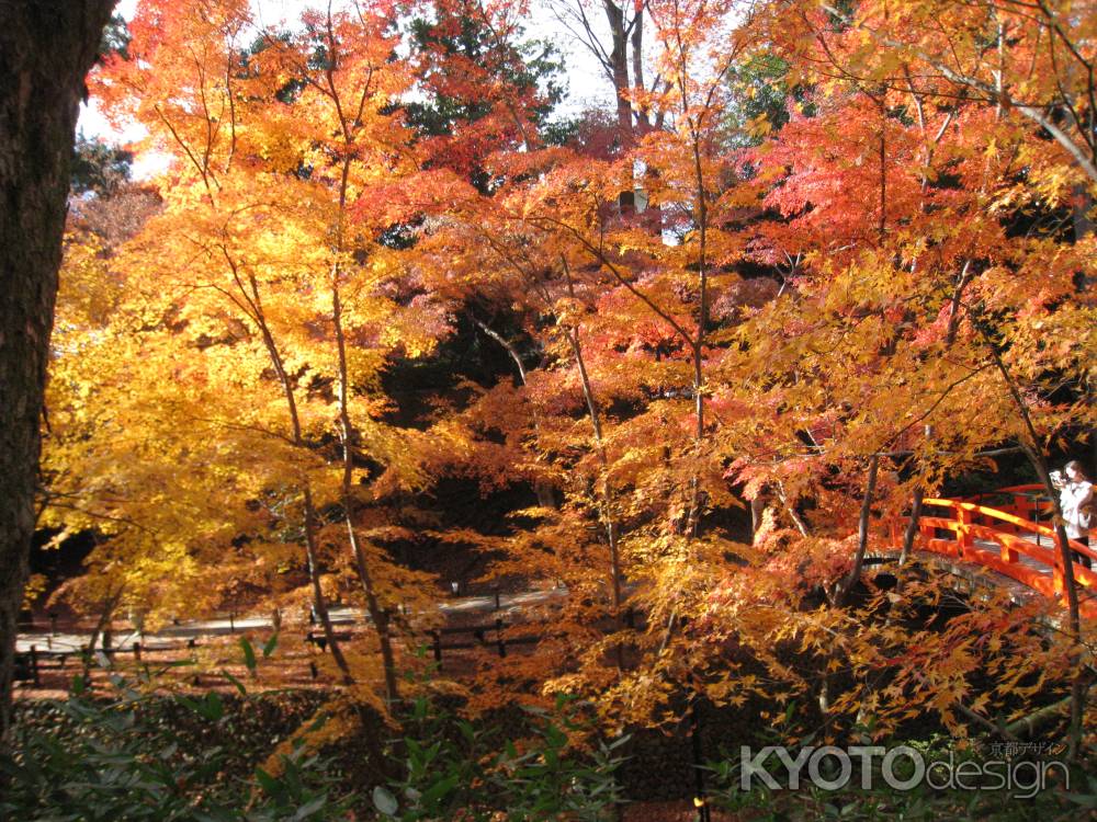 北野天満宮 もみじ苑