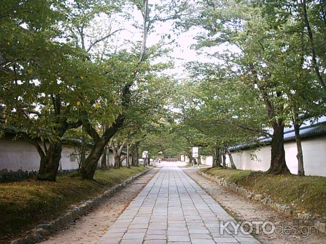 醍醐寺の参道