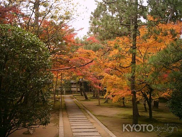 大徳寺　紅葉の道