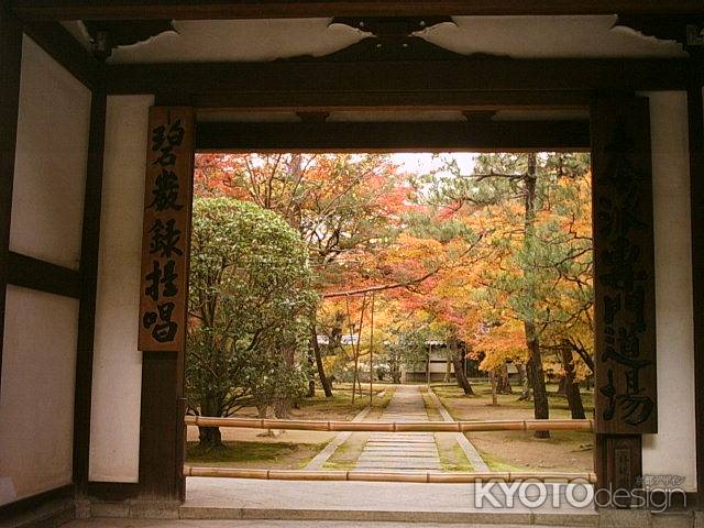 大徳寺　紅葉の道