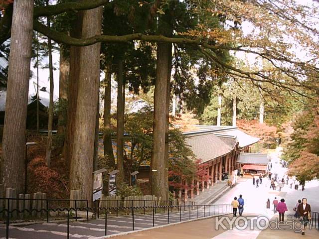 秋の延暦寺参道