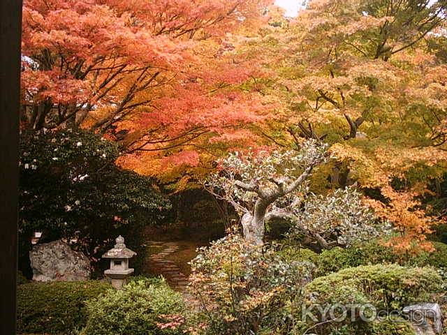 紅葉の源光庵