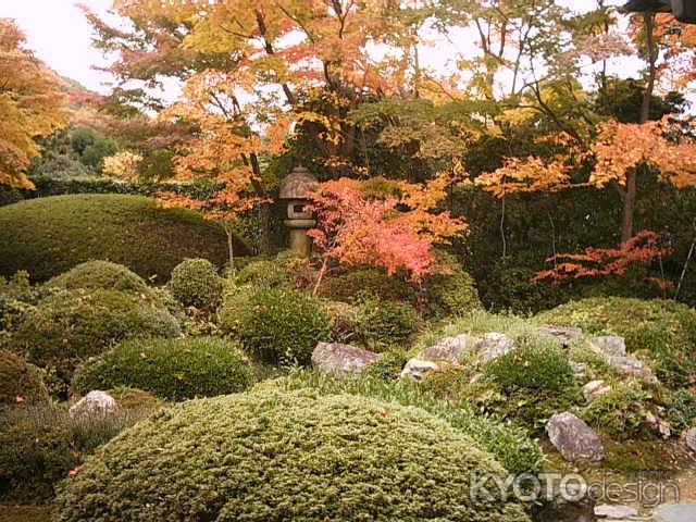 紅葉の源光庵の庭