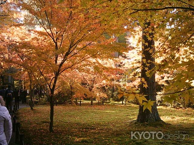 秋の三千院