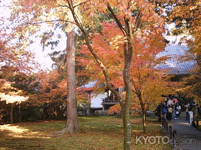 秋の三千院